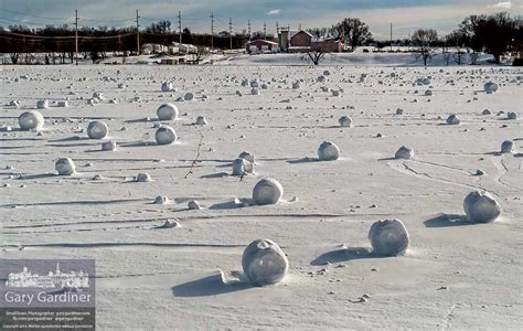 Rare snow rollers in abundance | My Final Photo