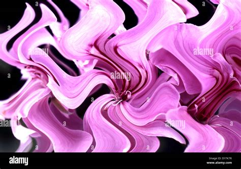 Pattern for wallpaper Stock Photo - Alamy