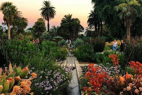 The Huntington Botanical Gardens Is Open With Advanced Bookings