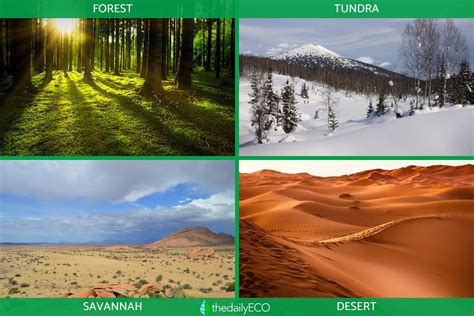 Natural Regions - Definition and Examples of Geographical Units