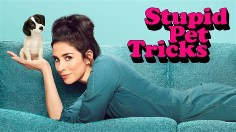 Stupid Pet Tricks Season 2 release date and Where to Watch - ThePopTimes