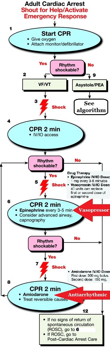 Too Much Medicine and Evidence-Based Guidelines – Part II | Rogue Medic