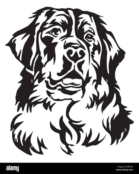 Decorative portrait of Bernese Mountain Dog, vector isolated ...