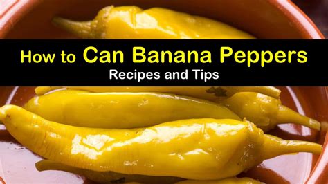 How To Can Hot Banana Peppers From Your Garden - Garden Likes