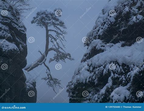 Fog on the Bastei Bridge in Winter, Saxon Switzerland National Park, Elbe Sandstone Mountains ...