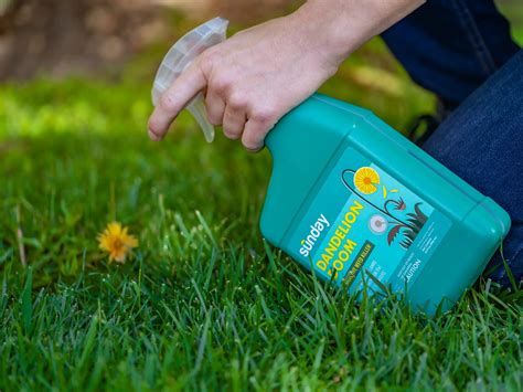 14 Best Dandelion Killer For Lawns For 2023 | Storables