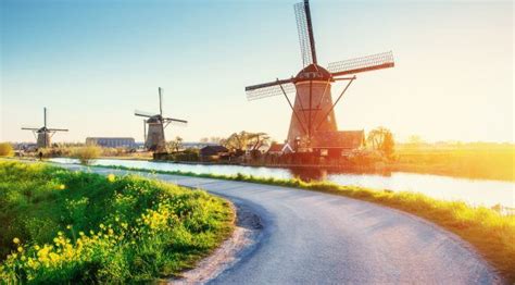 Windmills Near Amsterdam to Visit During National Mill Day | P&O Ferries Blog