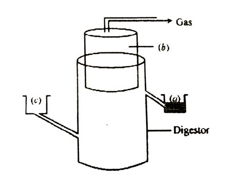 Explain the principle and working of a biogas plant.