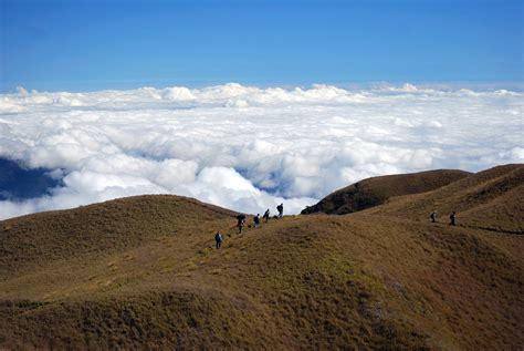 Hiking in the Hills above the Sea of Clouds on Mount Pulag, Philippines image - Free stock photo ...