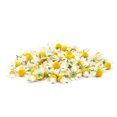 Chamomile Extract - Learn More About Chamomile Extract, Bionorm