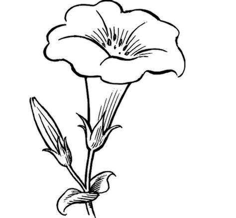 Simple Drawing Of Flowers at GetDrawings | Free download