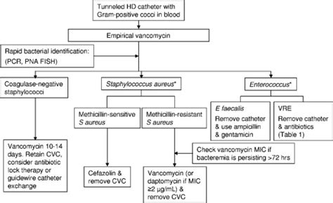 Management of Gram-Positive Coccal Bacteremia and Hemodialysis - American Journal of Kidney Diseases