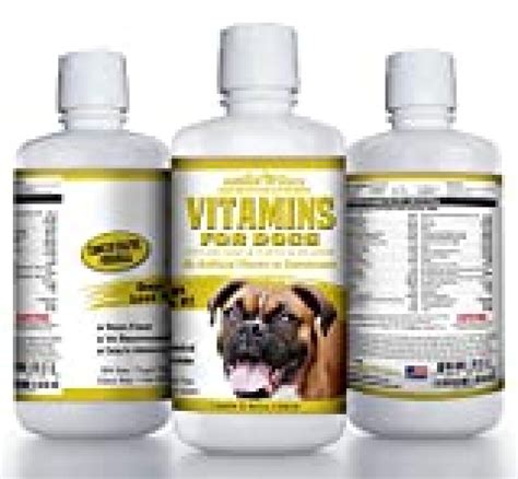 100% Natural Dog Vitamins and Supplements - Liquid Multivitamin for Dogs - Senior Dog Vitamins ...