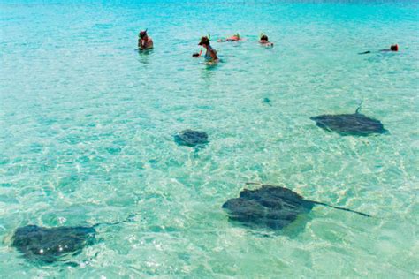 Gibbs Cay | Visit Turks and Caicos Islands