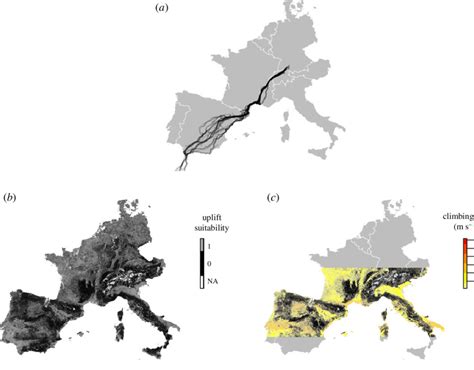 Spatial coverage of the white storks' migration routes, relative to the... | Download Scientific ...