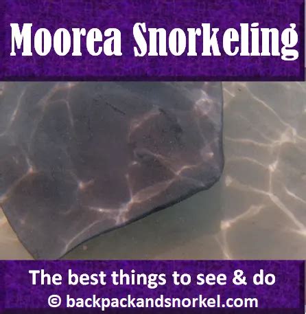 Backpack and Snorkel Travel Guide for the Three Best Snorkeling Spots ...