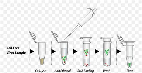 RNA Extraction Trizol DNA Extraction, PNG, 746x427px, Rna Extraction ...