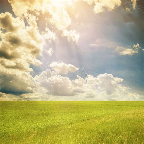 Green Meadow Landscape stock photo. Image of freshness - 32832154