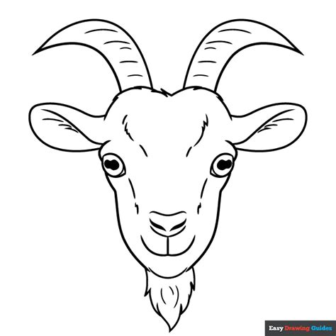 Goat Face Coloring Page | Easy Drawing Guides