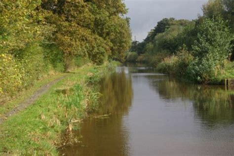 Canal News – Guided nature walk along the Montgomery Canal | Walking in nature, Canal, Nature