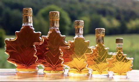 Maple Syrup: 10 Health Benefits of Maple Syrup