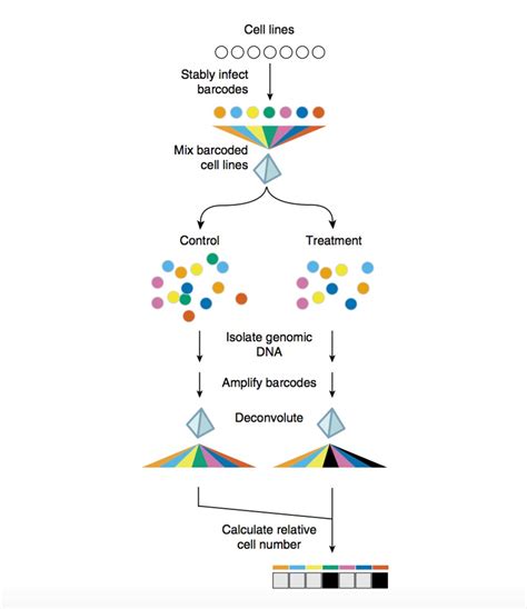 Screening of drugs made easy with DNA barcode - News - Company - arigo Biolaboratories