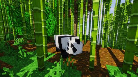 Minecraft Panda Guide: How to Find, Tame & Breed - PwrDown