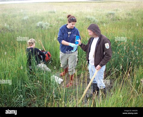 usfwsmtnprairie 5375677999 Wyoming Toad Habitat Stock Photo - Alamy