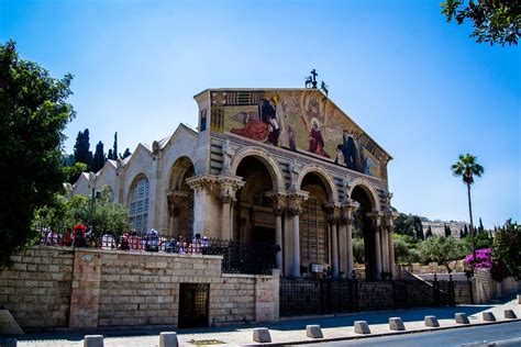 Gethsemane and Mount of Olives: places of the Passion | Pro Terra Sancta