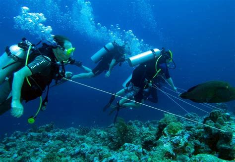 Best Scuba Diving Sites In Argentina • Travel Tips