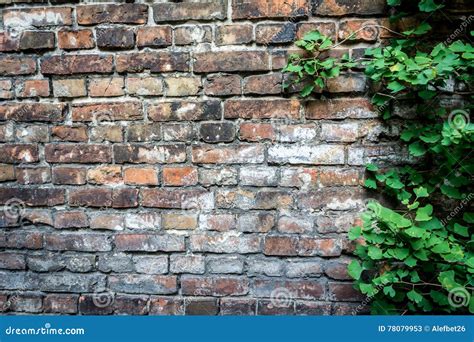 Wall of the Warsaw Ghetto, Poland Stock Image - Image of city, outdoors ...