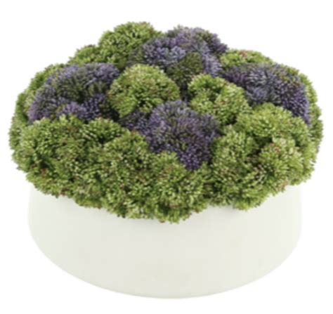 Purple and Green Sedum Floral Arrangement - House of Style & Design