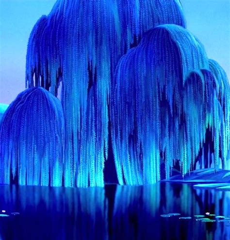 Weeping Willow Tree at Night | Willow tree, Tree of life tattoo, Disney ...