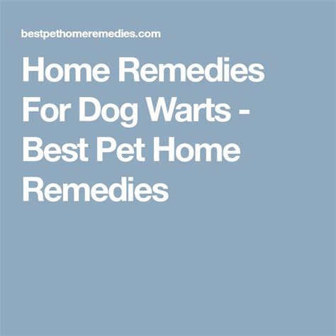 Home Remedies For Dog Warts