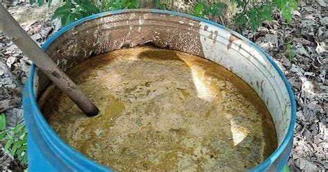 How to make Cow Dung Fertilizer for Plants