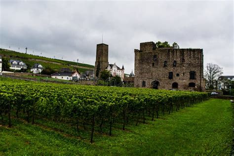 Vineyards of Rudesheim editorial image. Image of roof - 51752790