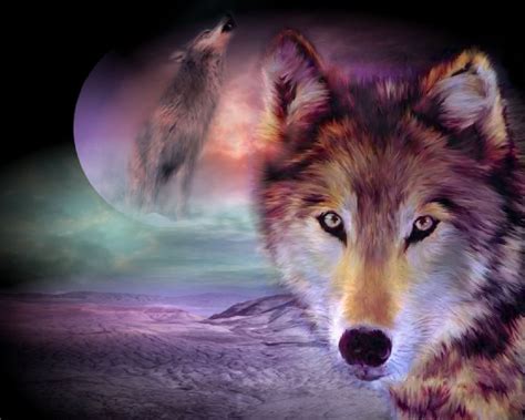 Moving Wolf Wallpapers - WallpaperSafari