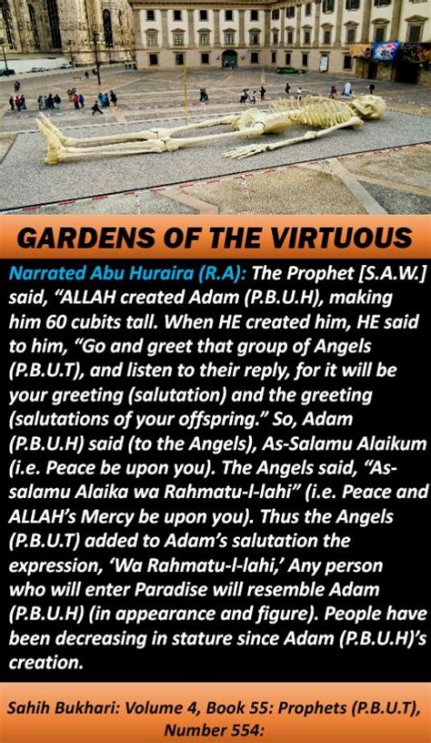 Prophet Adam was 60 cubits tall #Islam | Prophets in islam, Islam facts, Islamic teachings