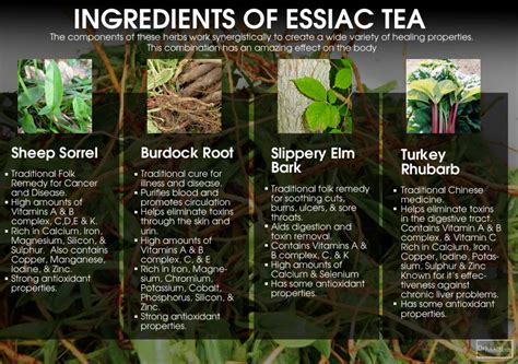 Should You Use Essiac Tea For Cancer? - DrJockers.com