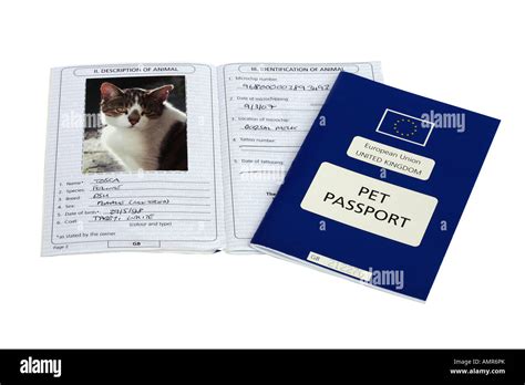 European pet passport Stock Photo - Alamy