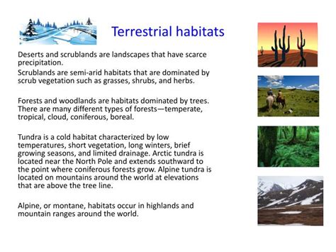 PPT - Biology 2B - Ecology PowerPoint Presentation - ID:5285762