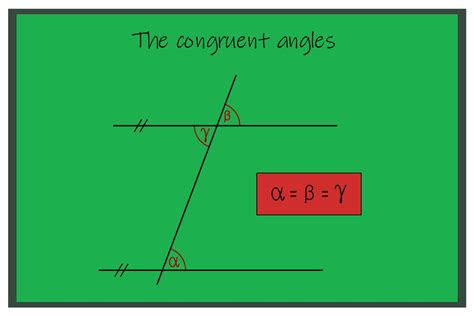 What Are Basic Facts About the Congruent Angles?