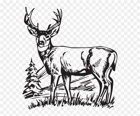Download Hunting Deer Drawings Clipart White-tailed - Deer Scenes Black And White - Png Download ...
