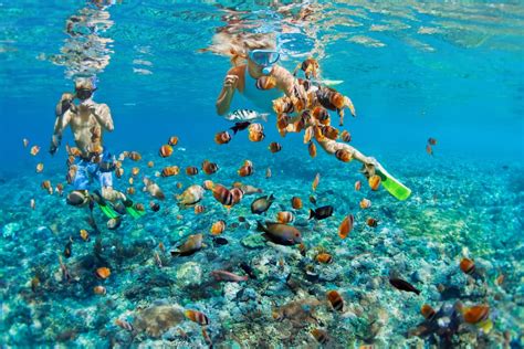 13 Amazing Cancun Snorkeling Tours ⋆ Raw Mal Roams