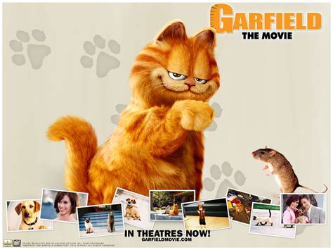 Garfield the Movie - Garfield Wallpaper (4142231) - Fanpop