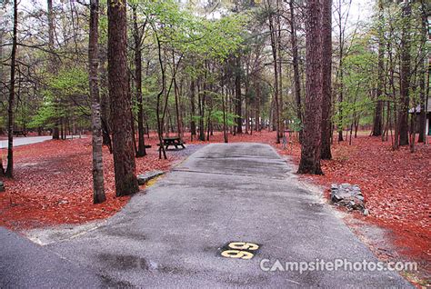 Lake Wateree State Park - Campsite Photos, Camping Info & Reservations