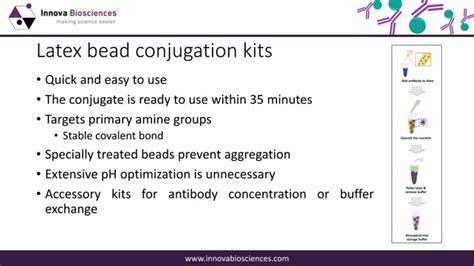 A guide to lateral flow immunoassay development