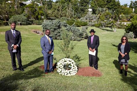 Bermuda cedar planted in memory of Covid-19 dead - The Royal Gazette | Bermuda News, Business ...