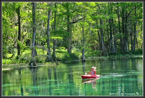 Ocala, Central Florida & Beyond: Three kayaking outings on the Rainbow ...