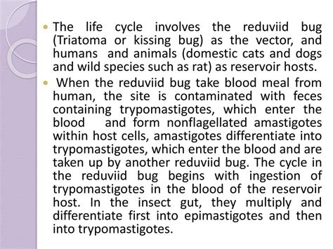 Blood &tissue protozoa - ppt download